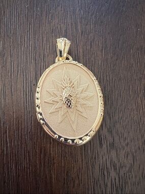 Brand New Jane Win Gold Plated Charelston, SC Pineapple Starburst Oval Locket